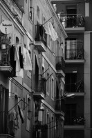 /album/fotografo-edu-silva/dsc-8416-jpg1/